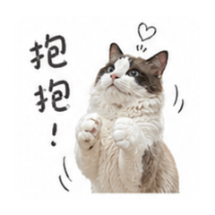 摩卡-阿咪 生活日常用語-2
