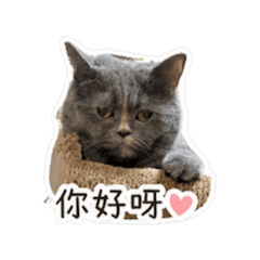咘咘與豆寶Q版貼圖2