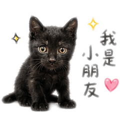 壯壯 泡泡