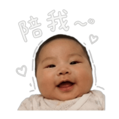 芹寶包