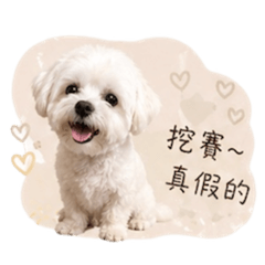 胖胖可愛篇