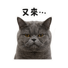 厭世不想上班丟