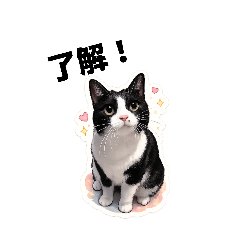 maimai_20260511201527
