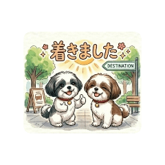 Wanwan Family_20260511202337