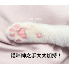 布吉貓話日常生活1