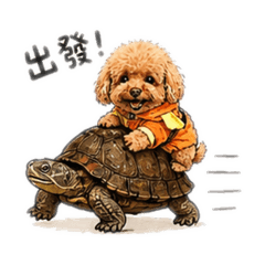 胖烏龜與捲毛土狗的愛恨情仇P1