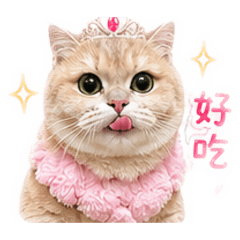 小泡芙公主的日常