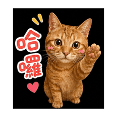 貓咪奶茶1