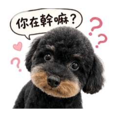 戀愛黑糖粿