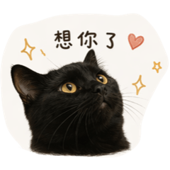3種咪