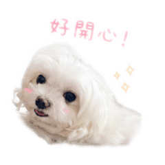m’馬爾生活篇go
