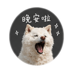 Fluffy White Dog (daily)