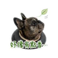 妞寶包表情貼圖3