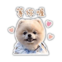 Kumaの日常貼圖