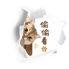 厭世藍金小胖日常1