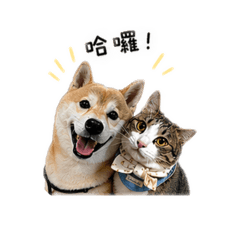 Haji&C