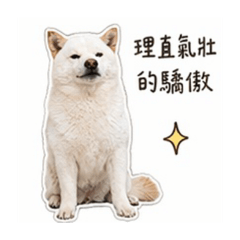 奶油寶寶自己出貼圖賺玩具