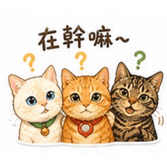 安坭的貓～日常用語三