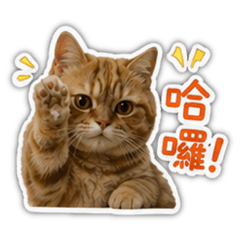 Orange li