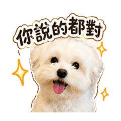 Poli QQ