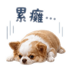 Pocky's Daily Life-