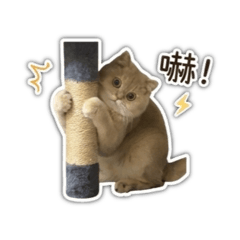 我是Sake