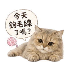 摩卡愛鉤織