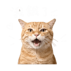 土蛋跟妹妹的日常1
