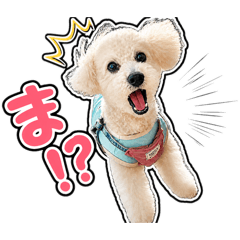 Amagami_20260511202728
