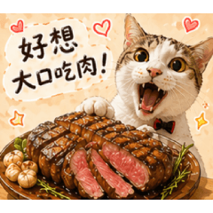 亮亮餓了｜米克斯貓的吃貨日常