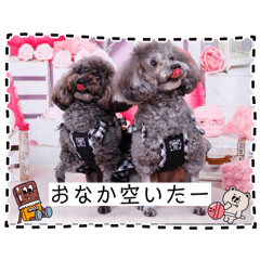 rin_20260511202825