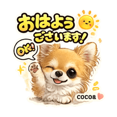 cocoa.m_20260511202812