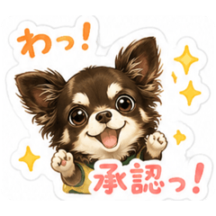 monta_20260511213130