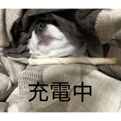 SeraABC_20260511212434