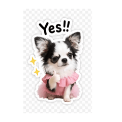 princessmarie_20260511213434
