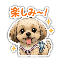 shinkuru_20260511212827