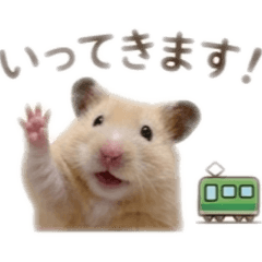 kuma_20260511203303