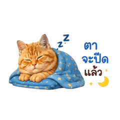 ojhgggggg_20260514163119
