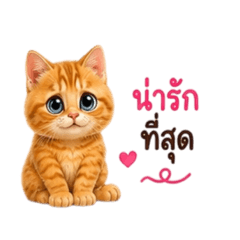 ojhgggggg_20260514163750