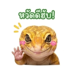 Pattanan Charngpiem_20260428171241