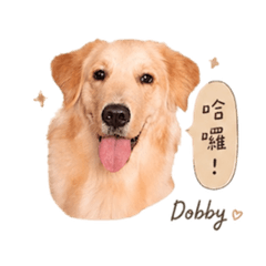 Dobby打招呼
