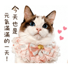 Kitty love奶姬