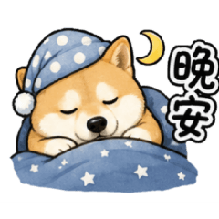i to dog