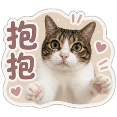 可可愛愛小小可