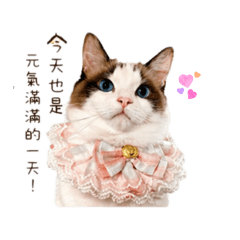 Kittylove奶姬love