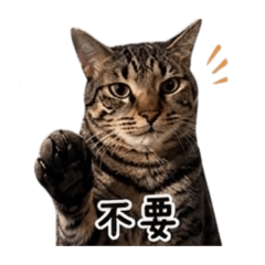 哈哈大欸