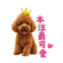 楊Q比1