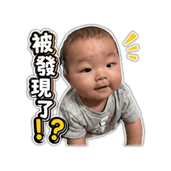 我是椪柑02