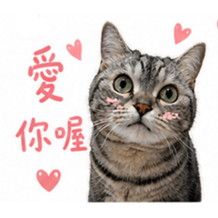 荳子的心情日常
