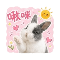 棉花糖の日常用語